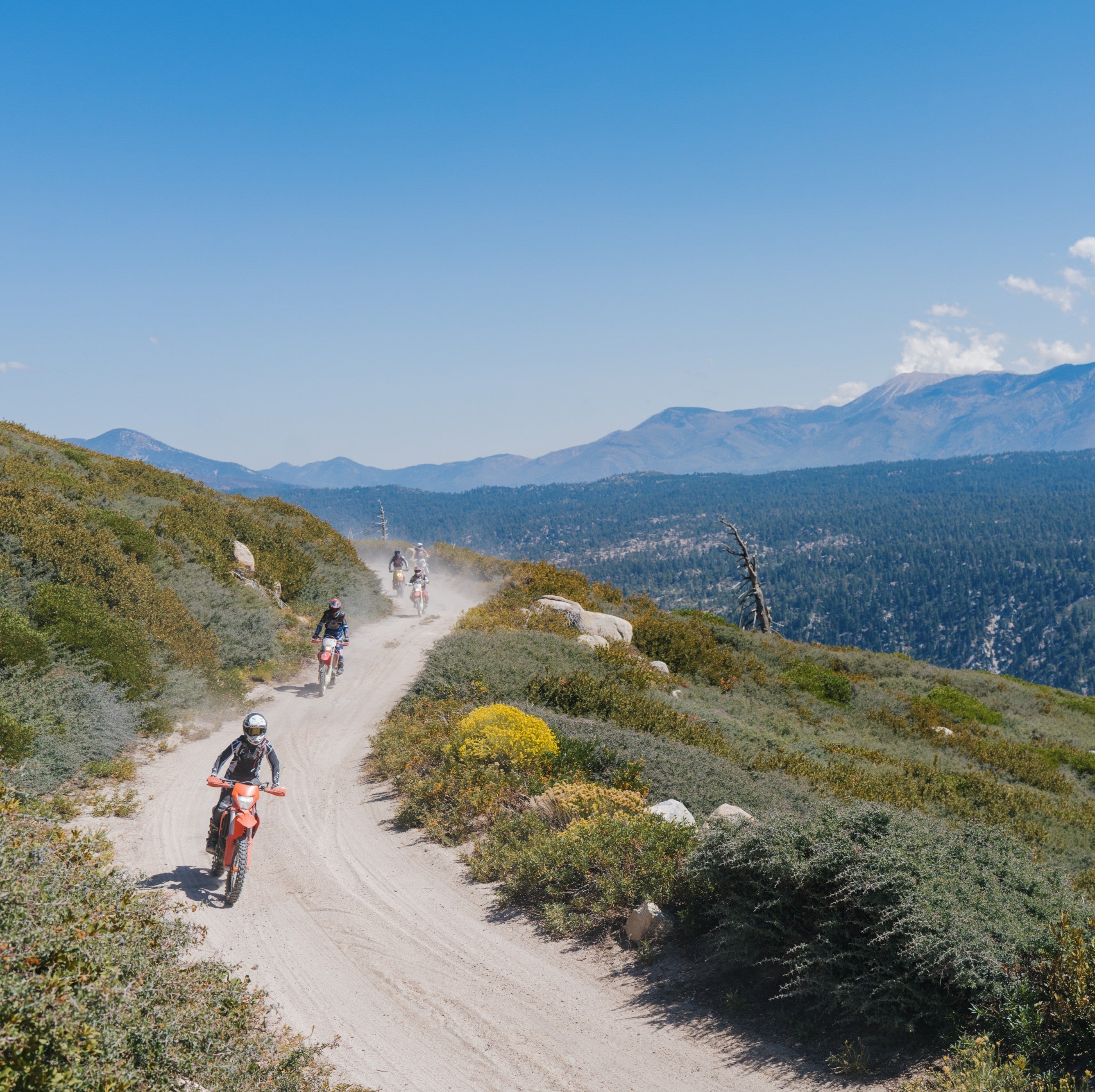 What We Wish We Knew About Dirt Bikes (That No One Tells You)